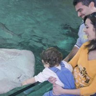 Acquario di Cattolica -  foto 4