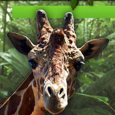 Safari Park dAbruzzo -  foto 1