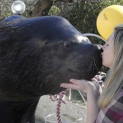 Safari Park dAbruzzo -  foto 5