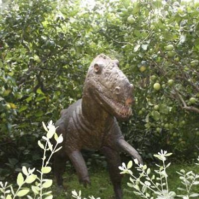 Bioparco di Sicilia -  foto 1