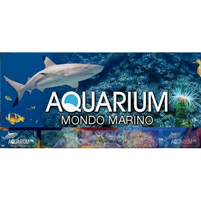 Aquarium Mondo Marino  -  foto 1