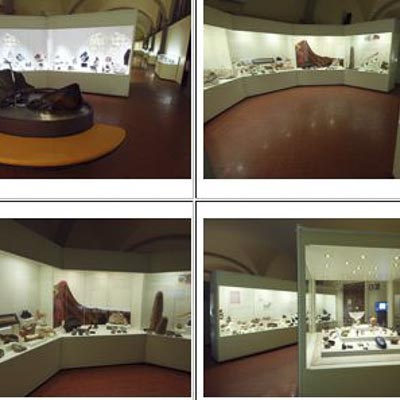 Museo di Storia Naturale Firenze -  foto 2