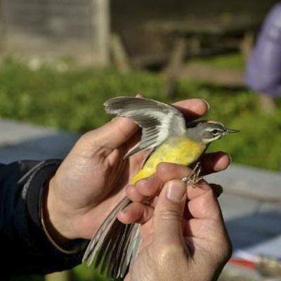 Oasi Le Mortine -  foto 1