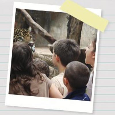 Zoo di Pistoia -  foto 1