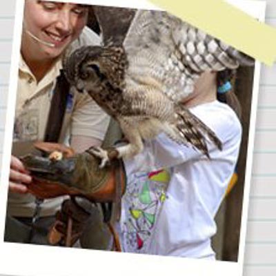 Zoo di Pistoia -  foto 3