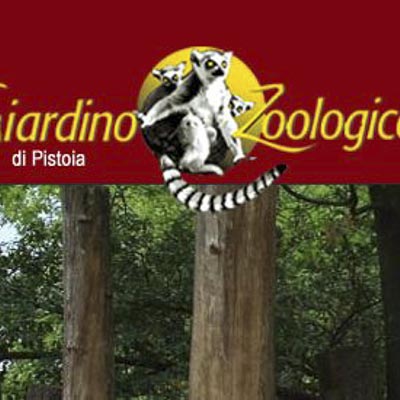 Zoo di Pistoia -  foto 5