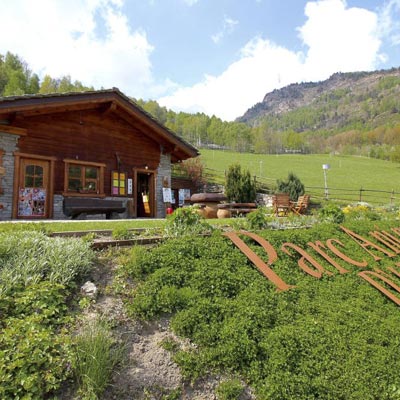 Parc Animalier dIntrod  -  foto 1