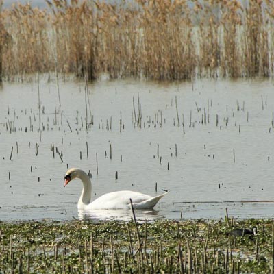 Oasi Naturalistica La Valle  -  foto 4