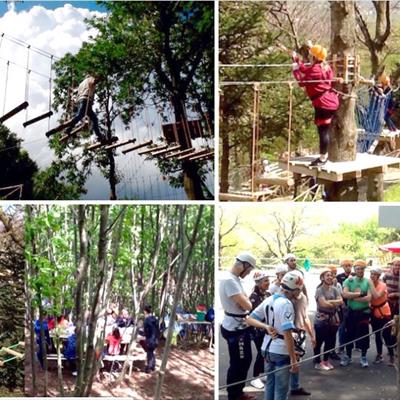 Parco Avventura Valle dellIrno -  foto 1