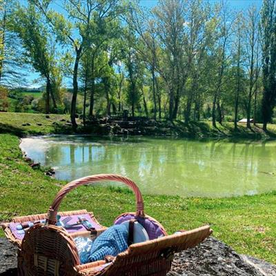 Leo Wild Park -  foto 6