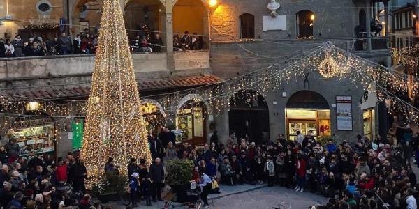 Piazza addobbata: albero di Natale e folla