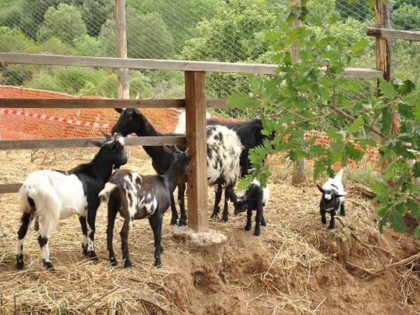 Agriturismo lIntrovabile  - foto 10202.jpg