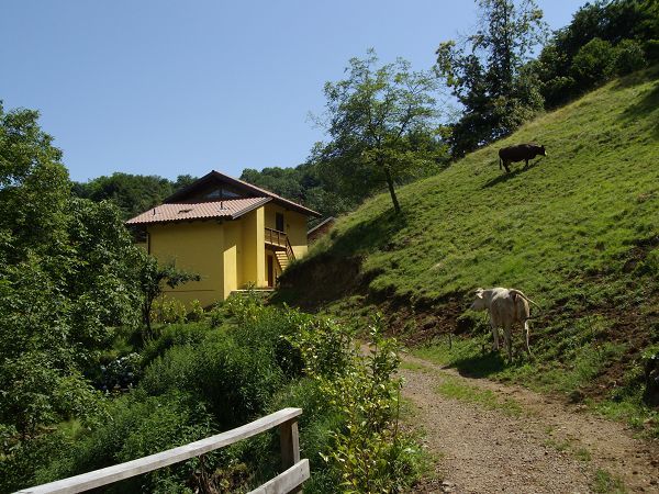 Agriturismo C Tass - foto 10388.jpg