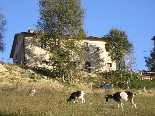 Azienda Agrituristica Il Sarale - foto 10419.jpg
