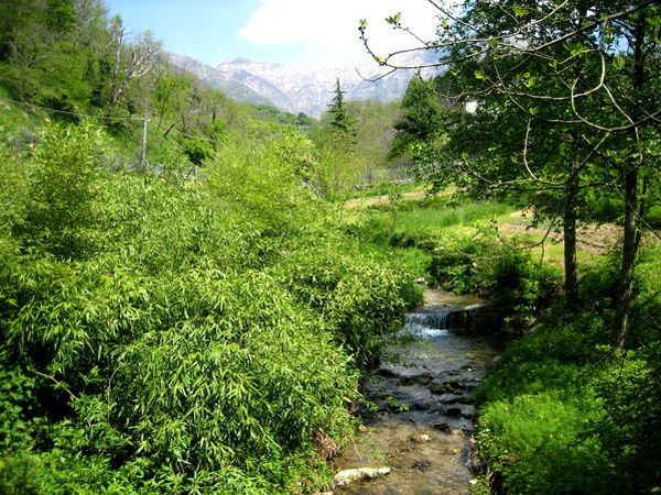 Palazzo del Duca di Mifra - foto 1981.jpg