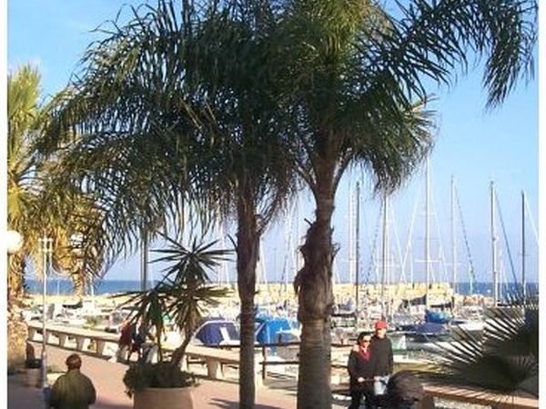 Hotel delle Rose - foto 10708.jpg