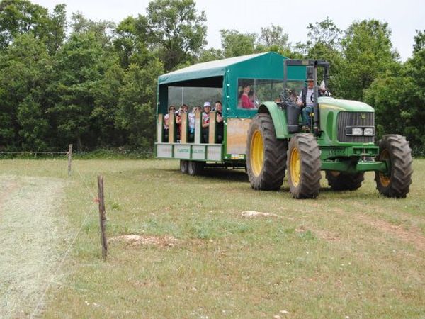 Agriturismo Amicizia - foto 10885.jpg