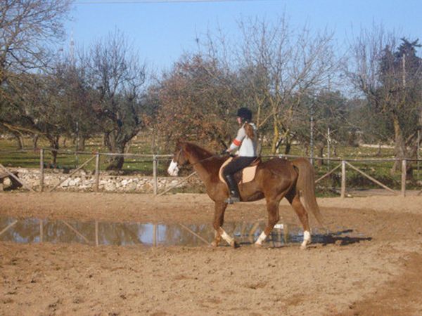 Agriturismo Amicizia - foto 10893.jpg