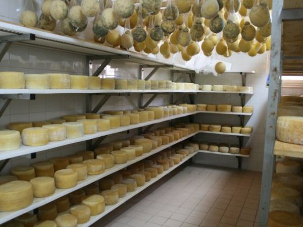 Agriturismo Amicizia - foto 10898.jpg