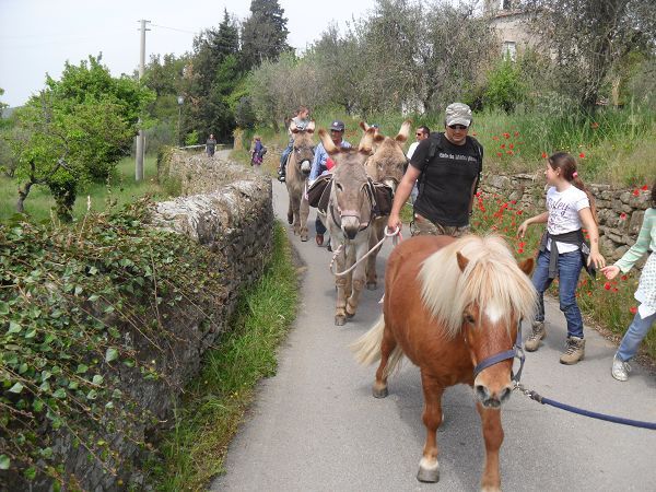 Margherita Holiday Home - foto 10951.jpg