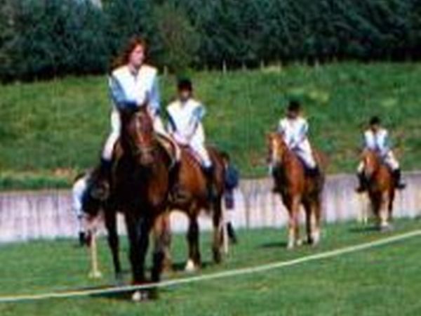 Fattoria di Marena - foto 11130.jpg