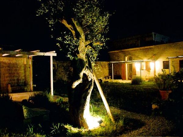 B&B Masseria dei 12 granai - foto 11164.jpg