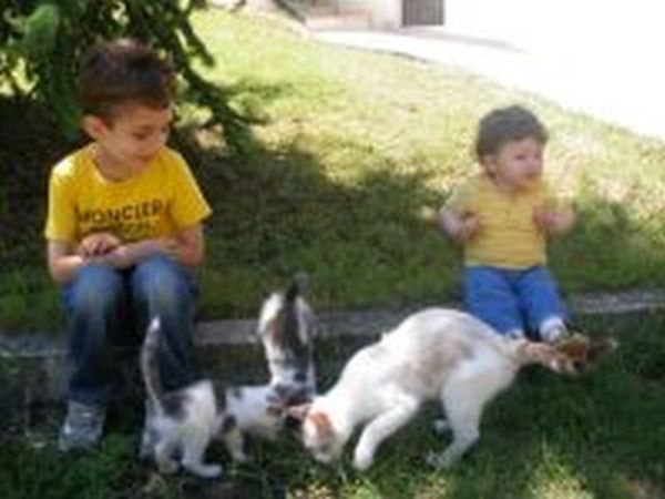 Agriturismo Dolci Marche  - foto 11364.jpg