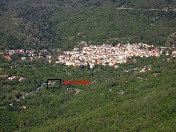 Chalet Su Foxile  - foto 11613.jpg