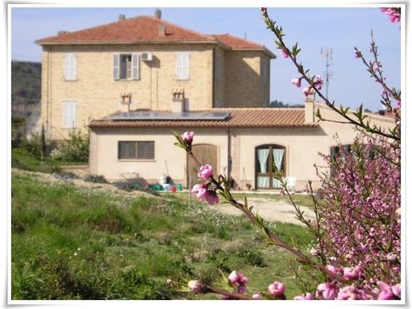 Bio Agriturismo Mare in Campagna - foto 11861.jpg