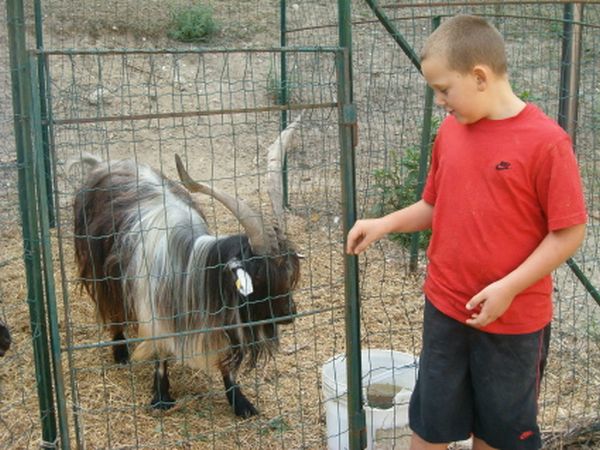 Agriturismo SantAndrea - foto 11863.jpg