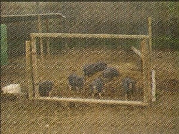 Agriturismo SantAndrea - foto 11865.jpg