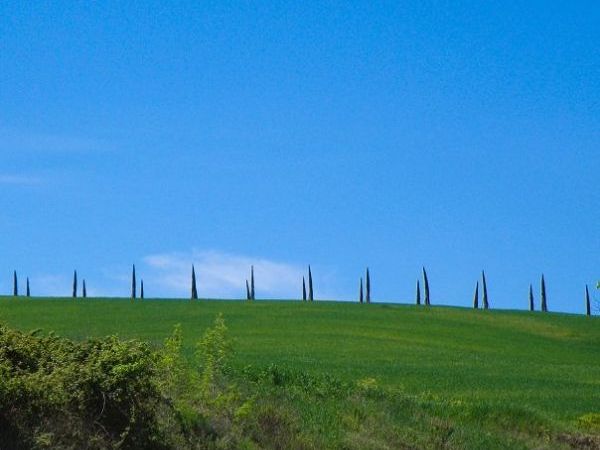 Agriturismo Cerrecchia - foto 11962.jpg