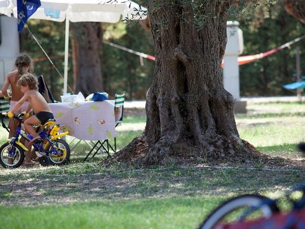 Baia di Gallipoli Camping Resort  - foto 12353.jpg
