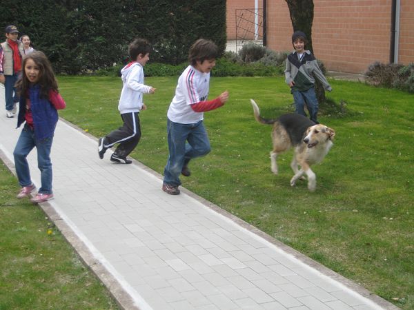 Agriturismo La Baccelliera - foto 12637.jpg