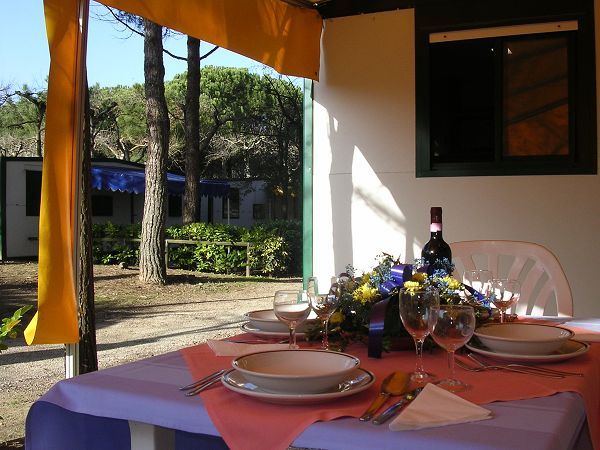 Valdor Holiday Center - foto 12795.jpg