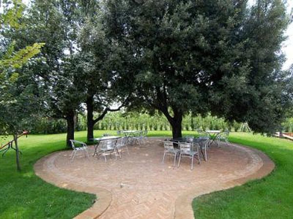 Podere gli Olmi - foto 12827.jpg