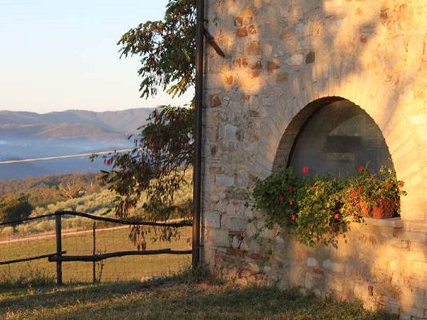 Agriturismo Maridiana Alpaca - foto 13621.jpg