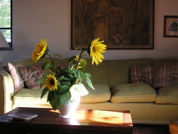 Agriturismo Maridiana Alpaca - foto 13633.jpg