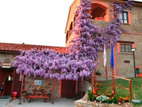 Fattoria il Poggio - foto 13721.jpg