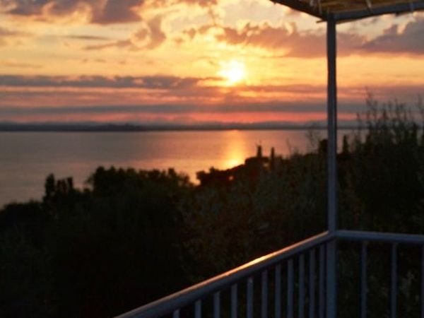 Fattoria il Poggio - foto 13723.jpg