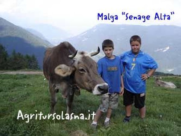 Agritur Solasna - foto 13748.jpg