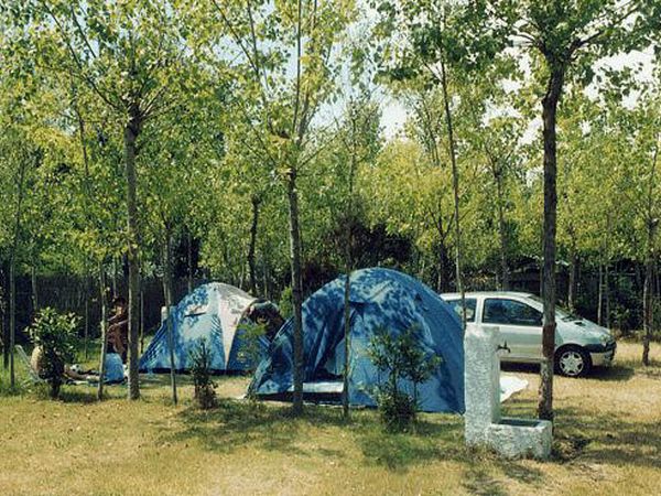 Camping dei Tigli - foto 13760.jpg
