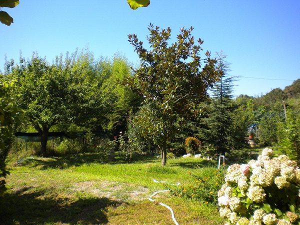 Bed & Breakfast La Casa dei Remi in Barca - foto 13764.jpg