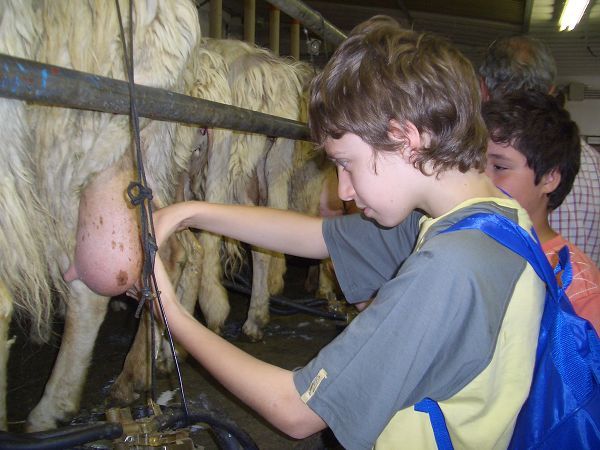 Tenuta Serpepe - foto 14192.jpg