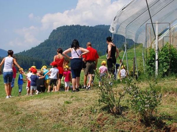 Agriturismo Maso Corradini - foto 14322.jpg