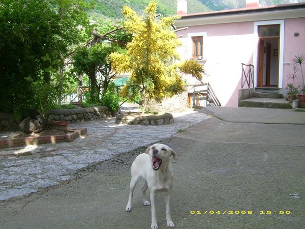 Agriturismo Mare e Monti - foto 3216.jpg