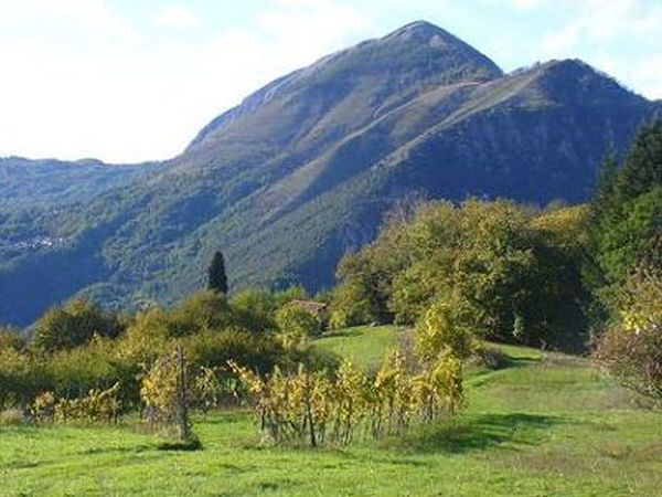 Agriturismo Fanny - foto 14579.jpg