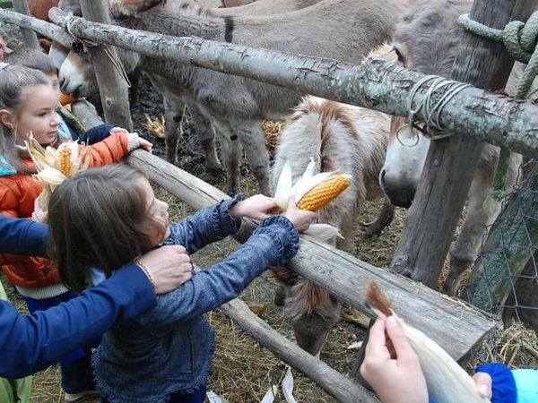 La Canestra - foto 14839.jpg