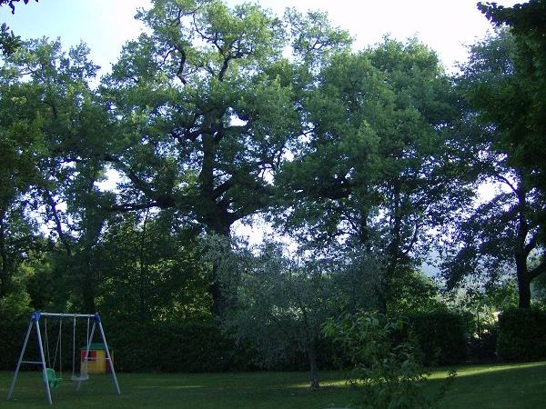 Casa Dina - foto 14895.jpg