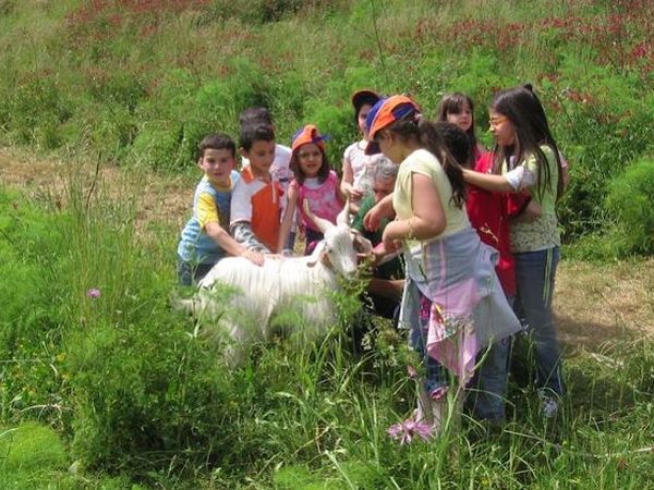 Azienda Agricola Terre di Vasia - foto 14906.jpg